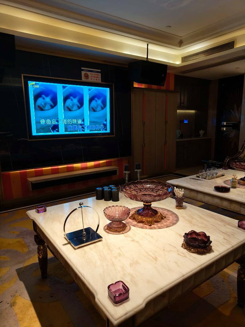 贵阳商务ktv首选，性价比无敌-云岩区ktv预订